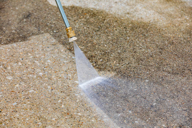 Animal Enclosure Cleaning in Ferry Pass, FL